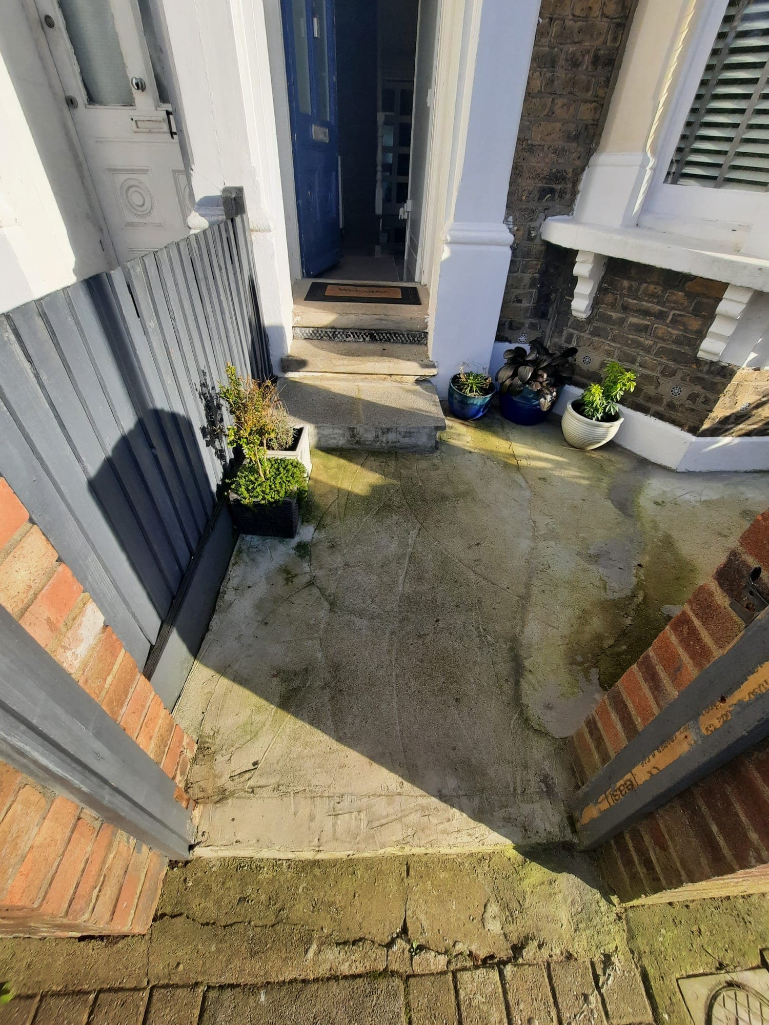 floor, slate, outdoors, city, plant